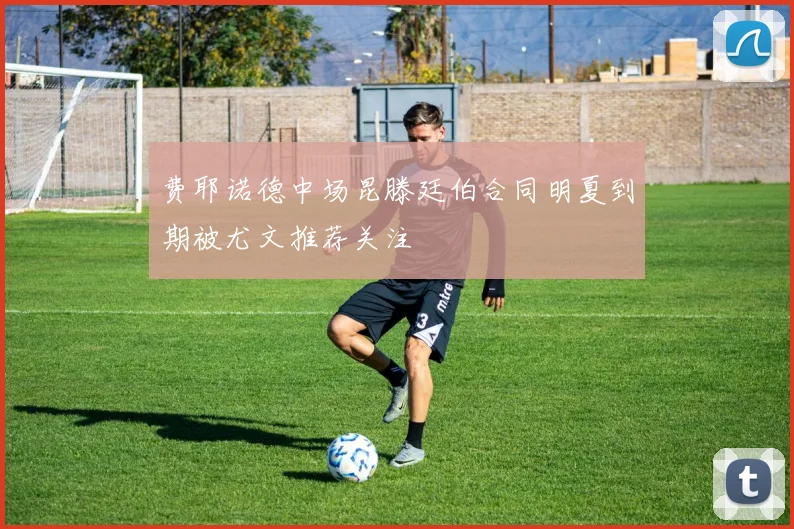 费耶诺德中场昆滕廷伯合同明夏到期被尤文推荐关注