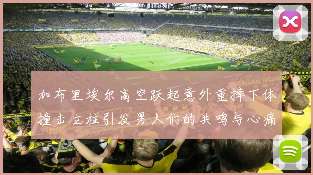 加布里埃尔高空跃起意外重摔下体撞击立柱引发男人们的共鸣与心痛